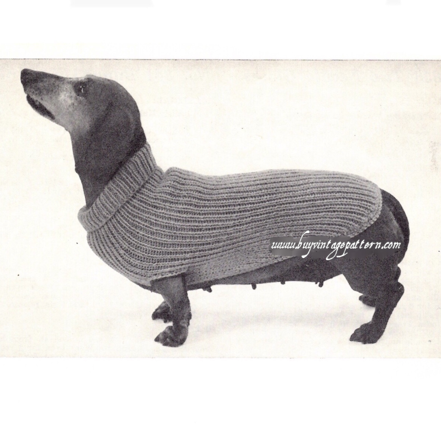 Vintage Dog Sweater Knit Pdf Pattern