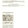 Vintage Bed Jacket Knitting pattern PDF downloadable - Image 2